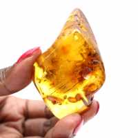 Galet en Ambre de la Baltique Poli - Pierre de Collection Naturelle