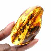 Litauischer Bernstein: Natürlicher Kieselstein für mineralogische Proben