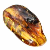 Litauischer Bernstein: Natürlicher Kieselstein für mineralogische Proben