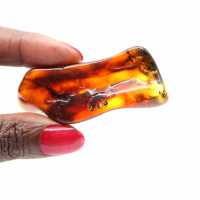 Galet d'Ambre Poli de Lituanie - Objet de Décoration Minérale