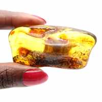 Kleiner polierter Bernsteinkiesel aus Litauen – Mineralogische Sammlung