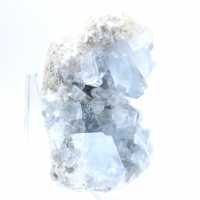 Decoratief exemplaar blauwe celestien Madagaskar