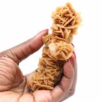 Rose des sables décorative Tunisie