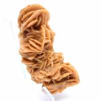 Rose des sables brute authentique Tunisie