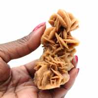 Rose des sables brute authentique Tunisie