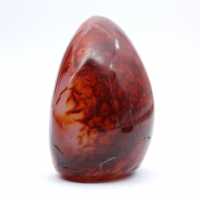 Cornaline Polie Très Petit Ornement - Minéral Authentique de Madagascar (225g)