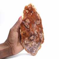 Tranche de bois pétrifié poli, petit ornement fossile, Madagascar