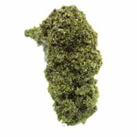 Cristaux d’épidote du Maroc sur gangue beige