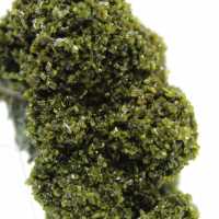 Cristaux d’épidote du Maroc sur gangue beige