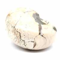 Spécimen d'Ammonite de Madagascar - Fossile Poli pour Collectionneur