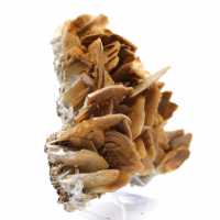 Cristales marrones de barita de Ouichane