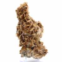 Moneda marroquí de barita con cristales marrones