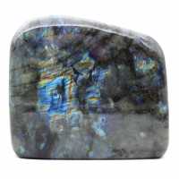 Grande Labradorite Polie pour Collectionneurs