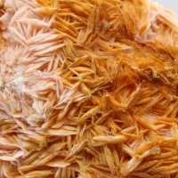 Barita laranja de Marrocos com cristalização acentuada.