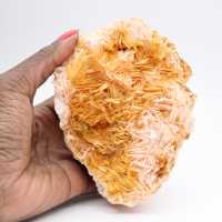 Barita laranja de Marrocos com cristalização acentuada.