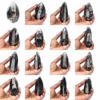 Orthoceras-Fossil aus Marokko