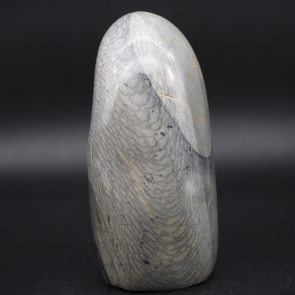 Forme libre en pierre de Jaspe rubanée grise