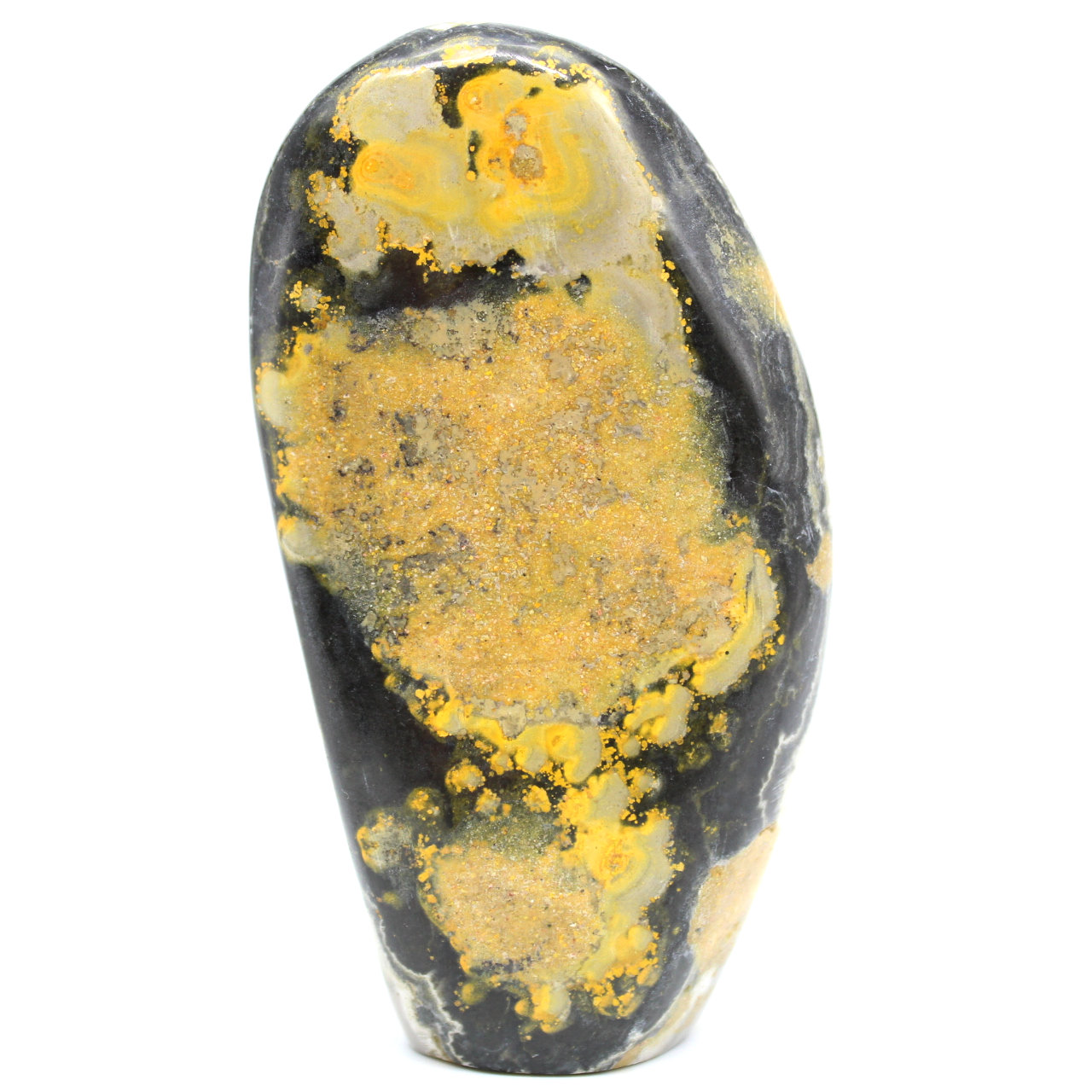 Jasper bumblebee indonesia