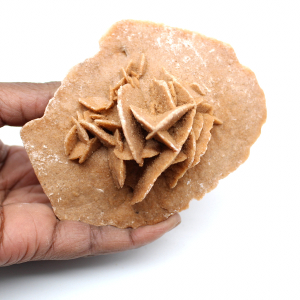 Rose des sables naturelle