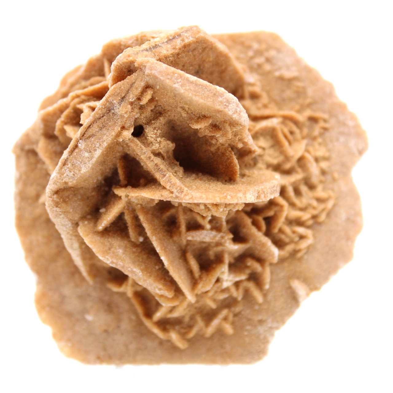 Rose des sables brut