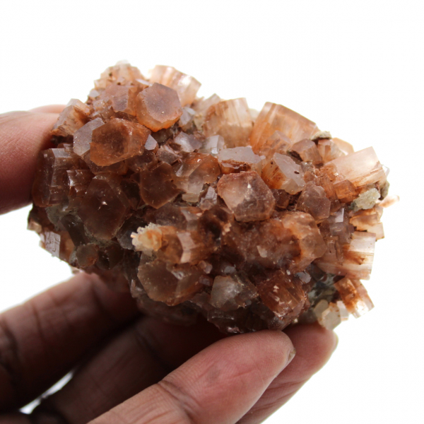 Crystallized aragonite