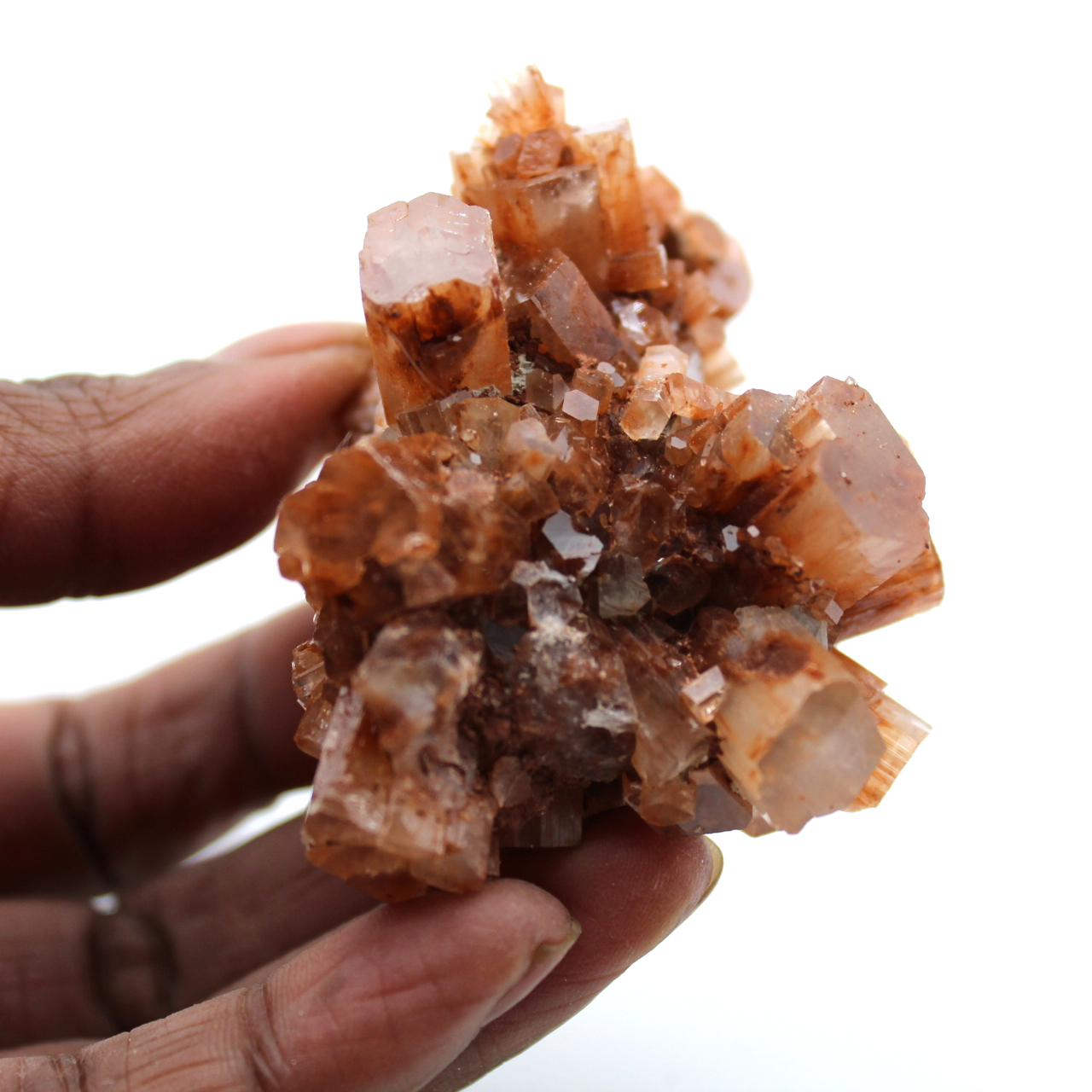 Collectible aragonite