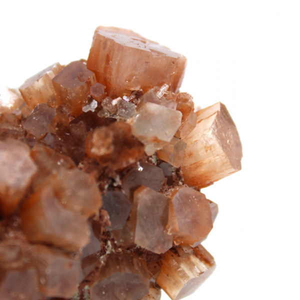Crystallized aragonite