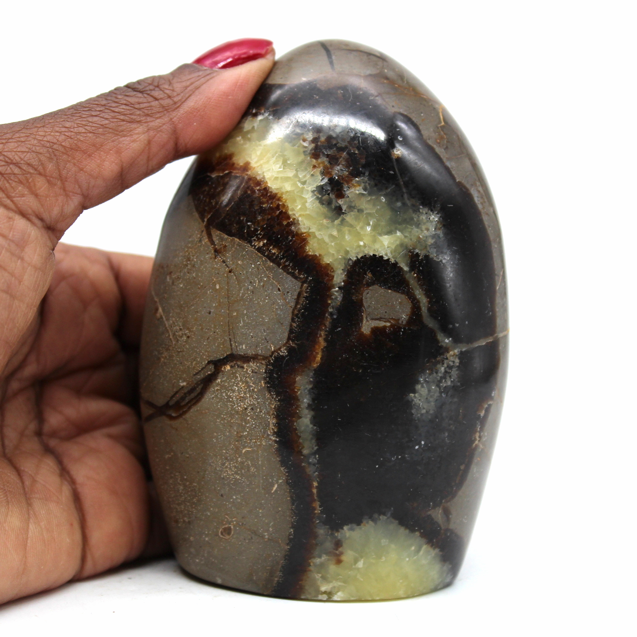 Septaria natural stone
