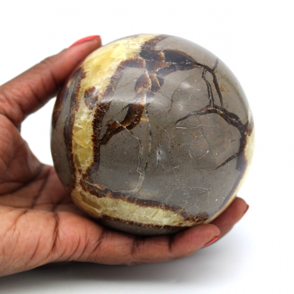 Sphere in septaria