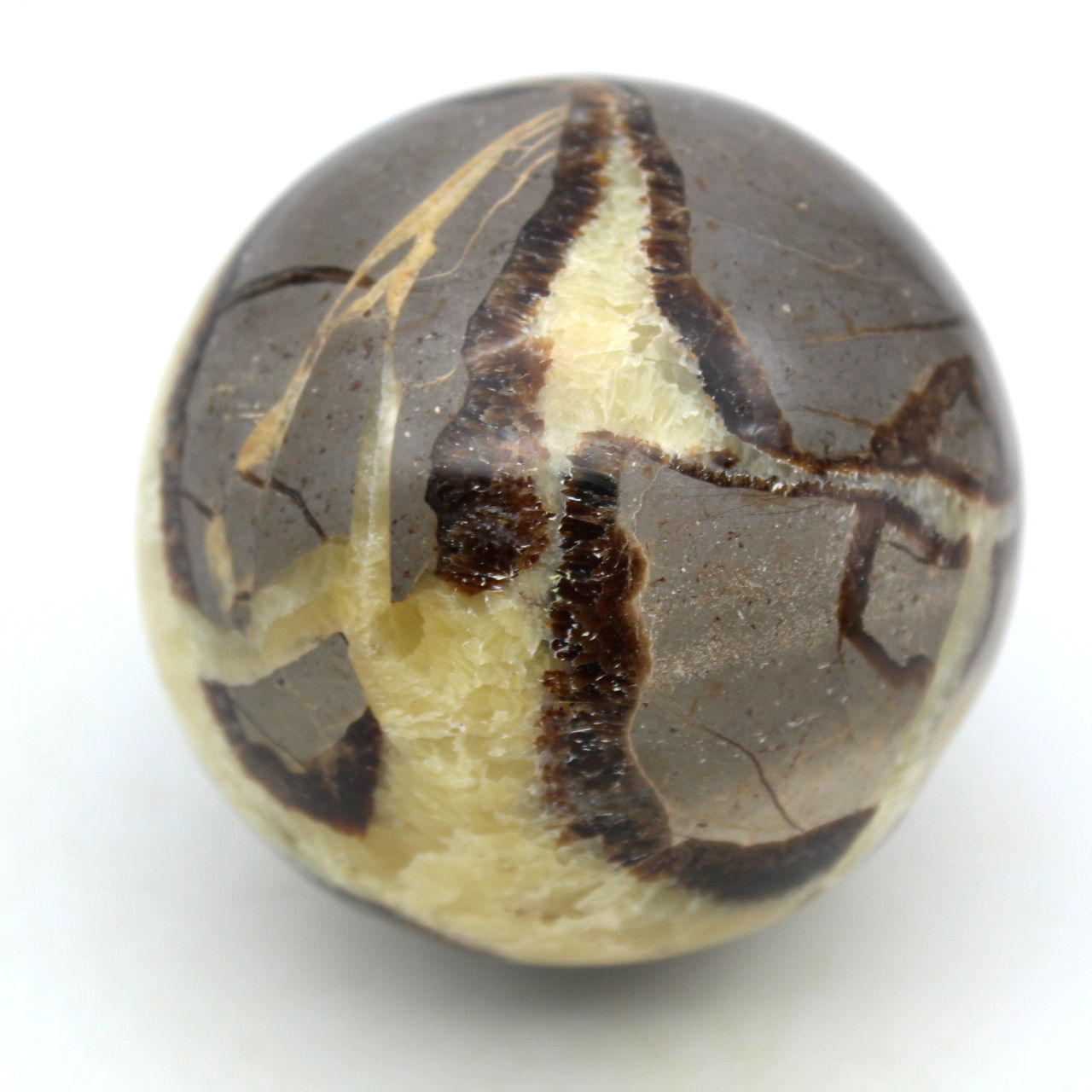 Sphere in septaria