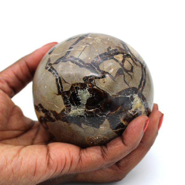 Sphère en septaria