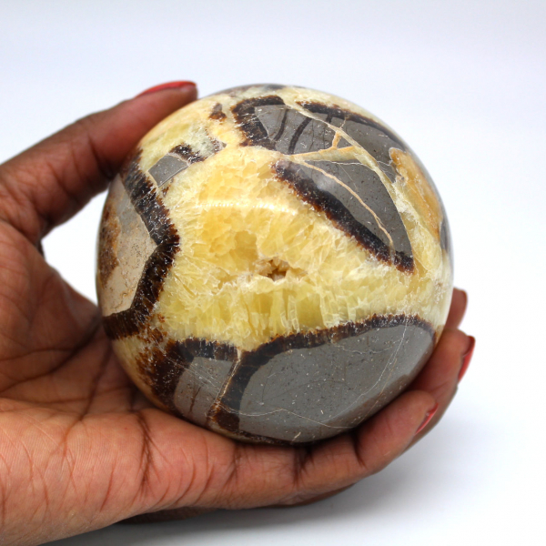 Sphère en septaria