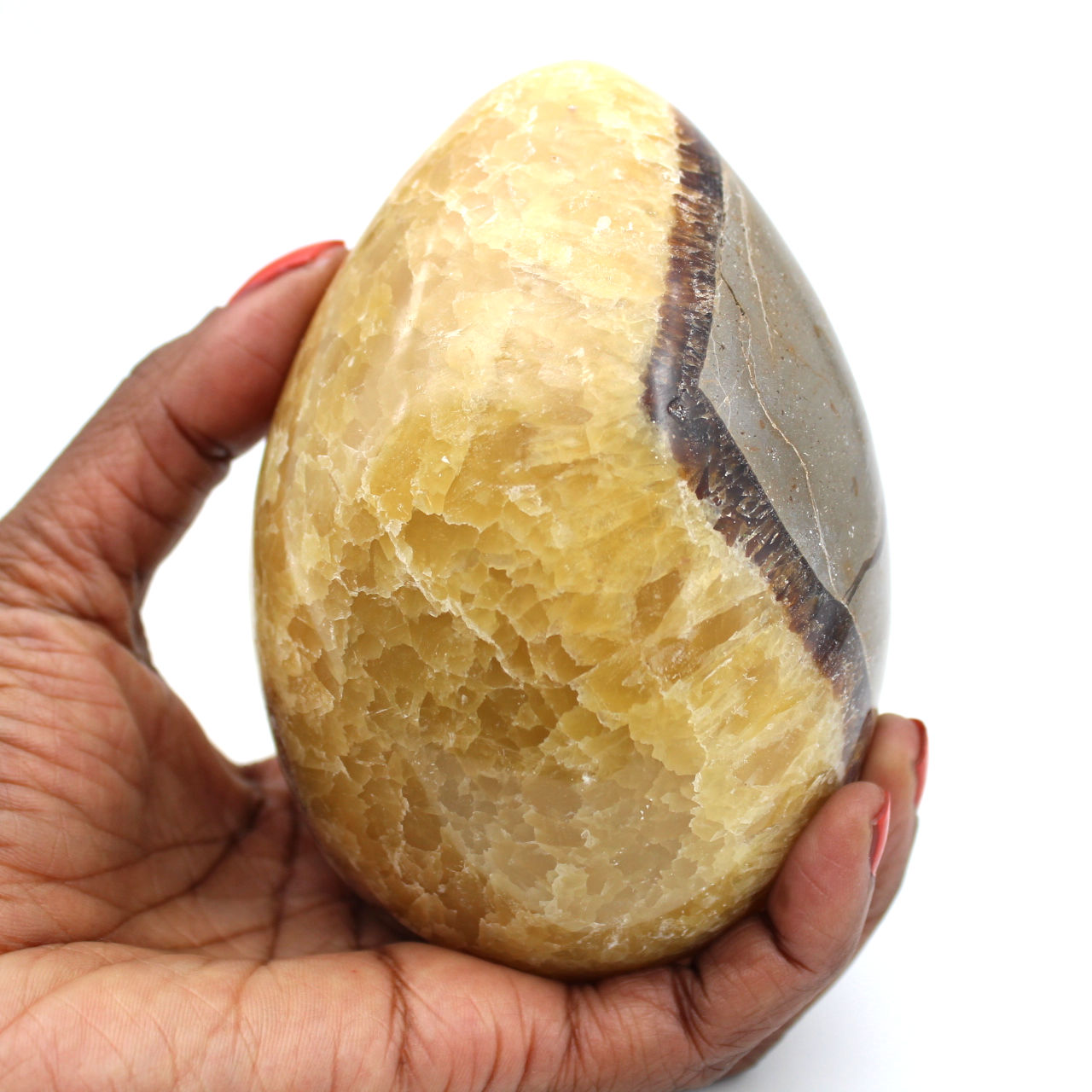 Mineral egg in septaria