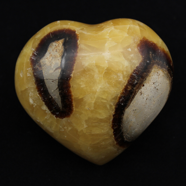 Heart in septaria