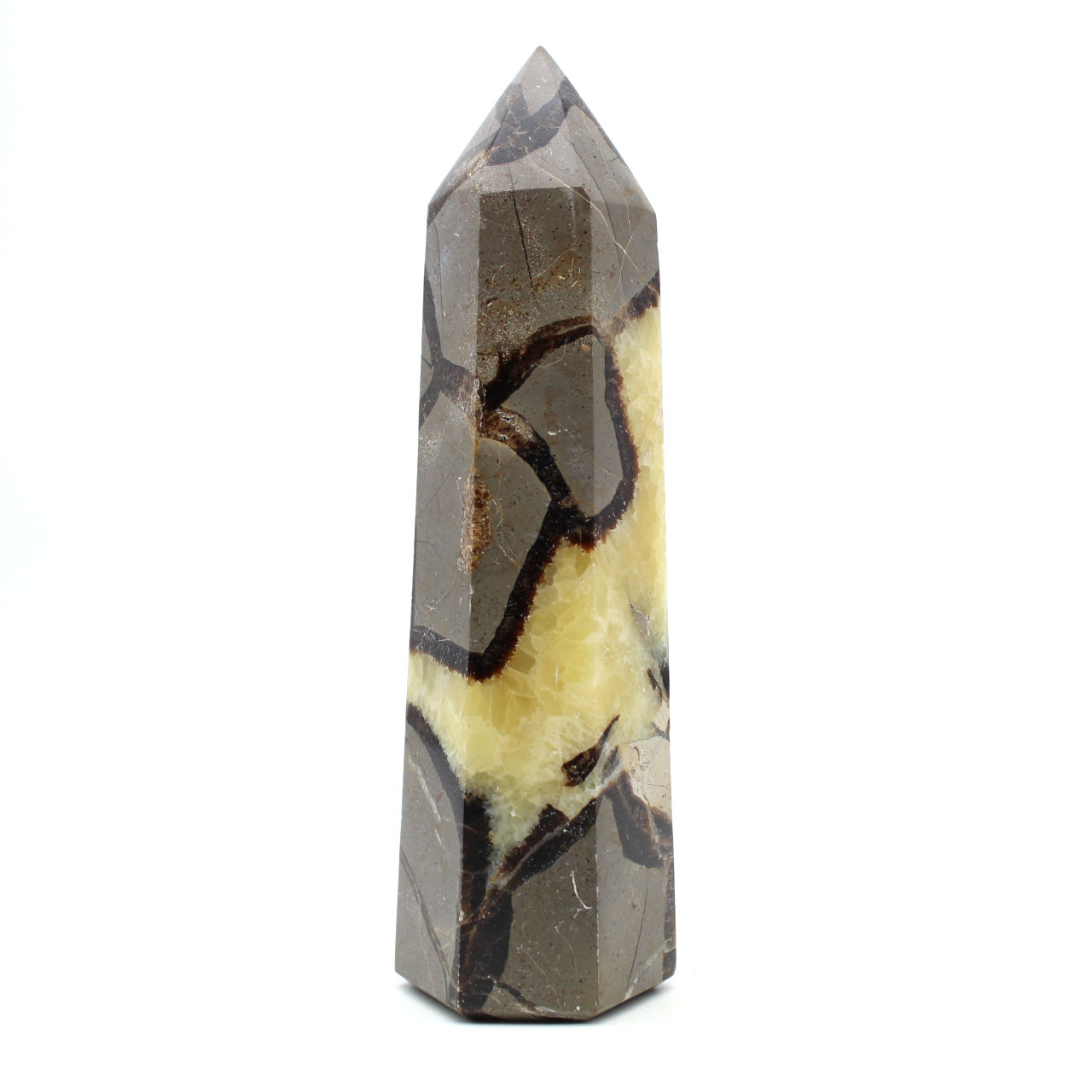 Prism in septaria