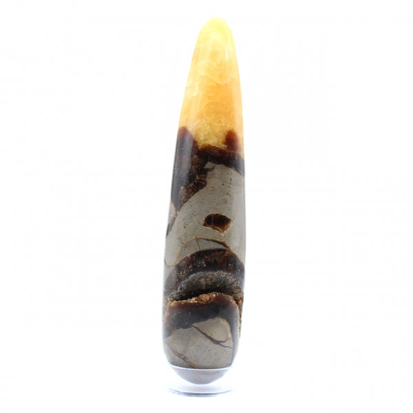 Baton de Septaria poli naturel
