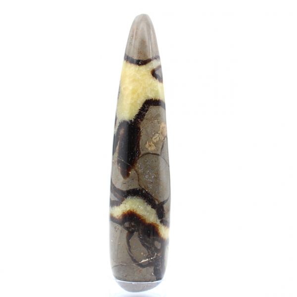 Pierre de Septaria poli naturel baton