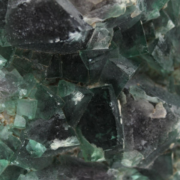Cubic crystals of fluorite on gangue
