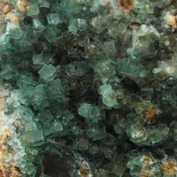 Fluorite cristallisée en cube