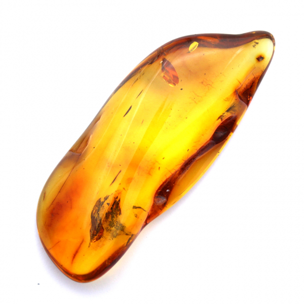 Ambre fossile jaune