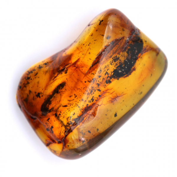Esemplare di ambra fossile