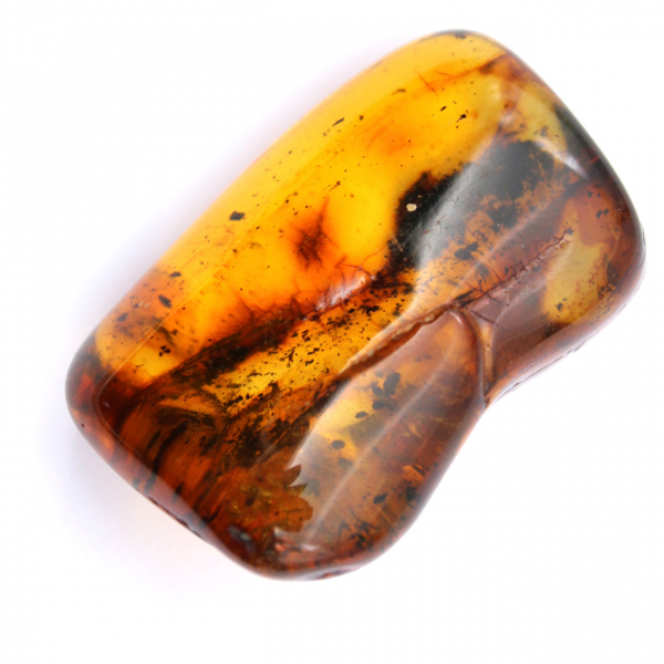 Fossil amber specimen