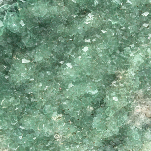 Cubi di fluorite verde sulla ganga