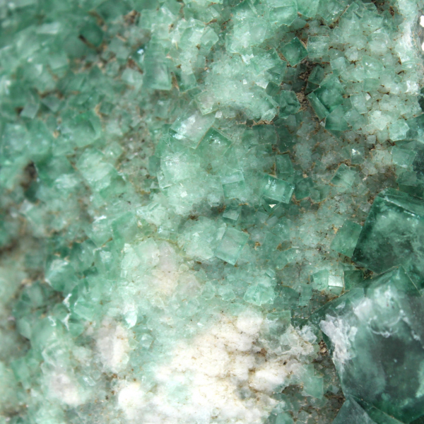 Fluorite brute en cristaux sur gangue