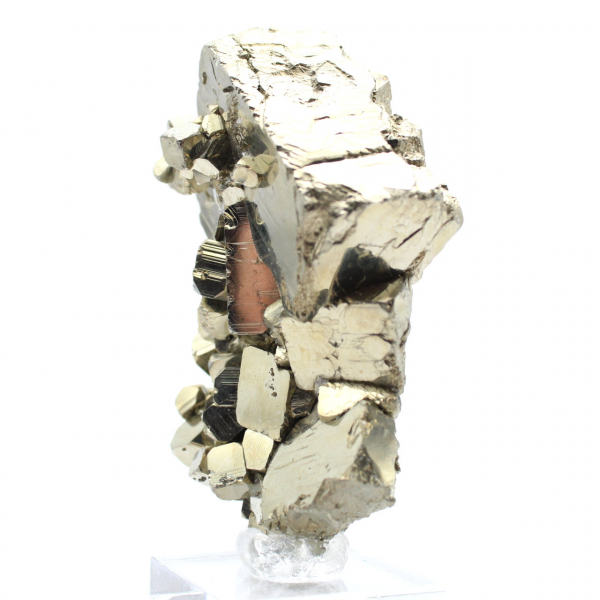 Pyrite cristallisée sur socle