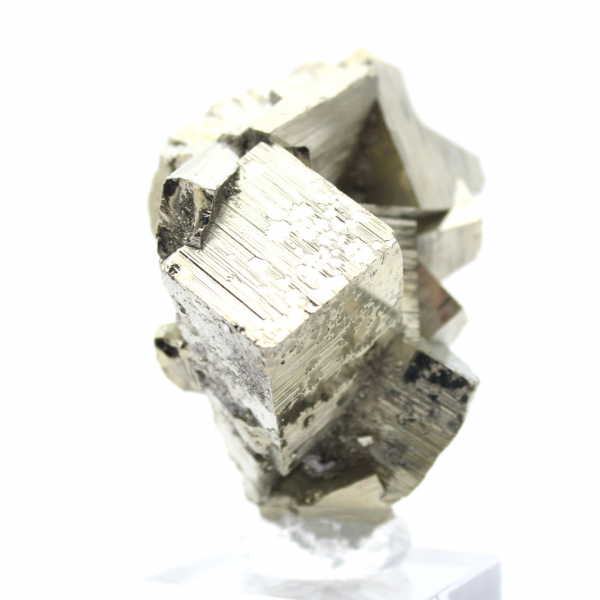 Pyrite crystals on base