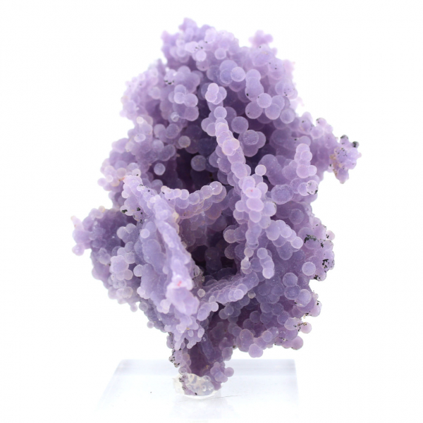 Grape Cluster Chalcedony