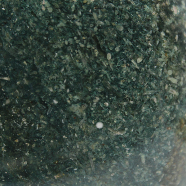 Natural Green Jasper rock