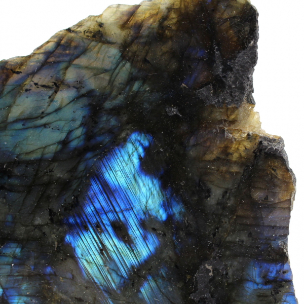 Labradorite une face polie de collection