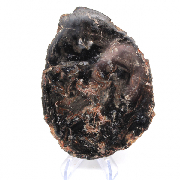 Poliertes Kieselholz aus Madagaskar